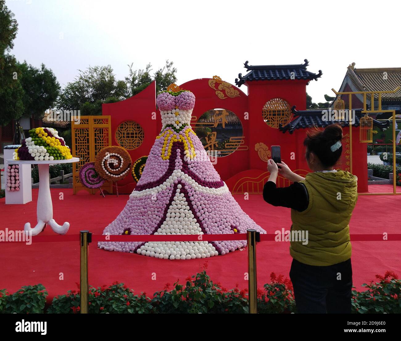 Chrysanthemum festival and china hires stock photography and images
