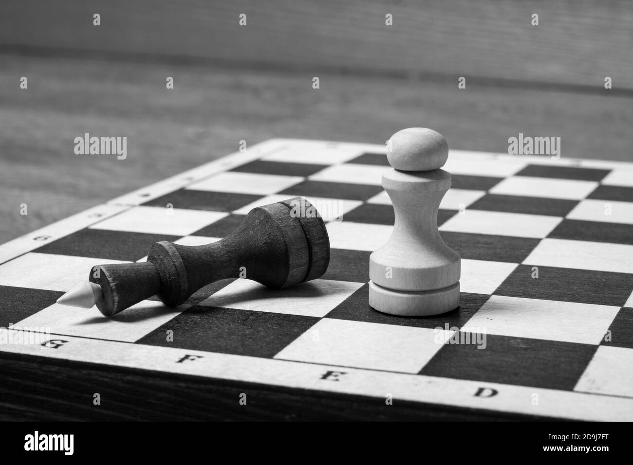 The end of the chess game, the white pawn defeated the dark king. The fallen chess king as a metaphor for the fall of power. Business concept copy space, selective focus, black and white Stock Photo
