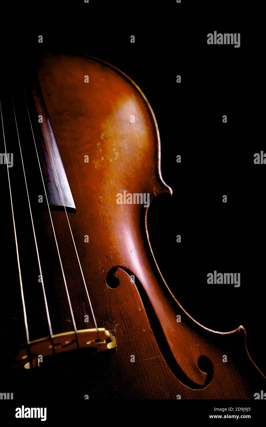 Cello on black background. Stock Photo