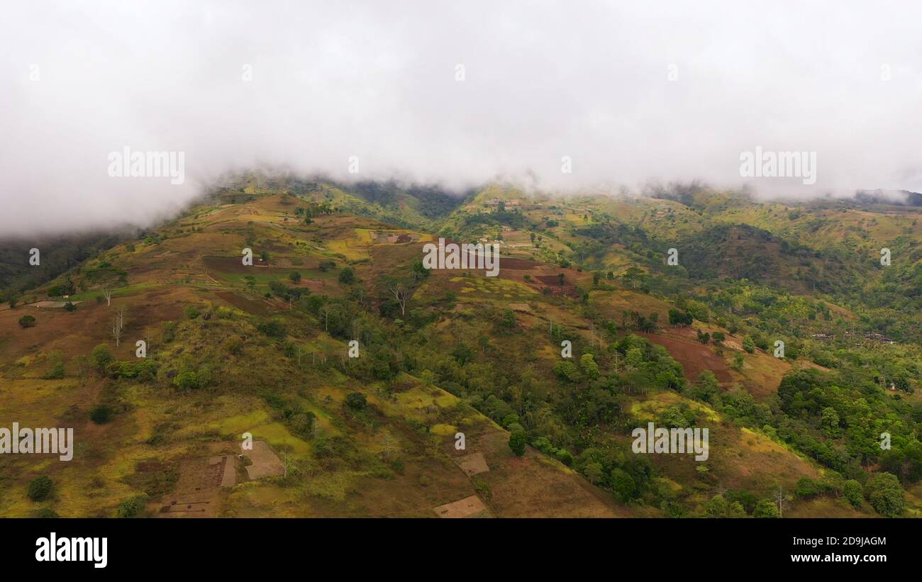 Fertile farmlands with growing crops and mountains with clouds against