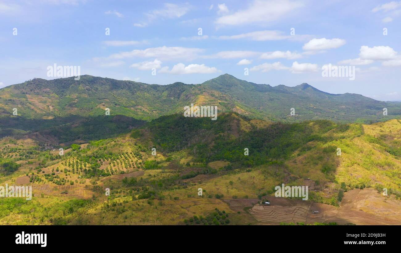 Farming and growing plants in rural areas of Mindanao island