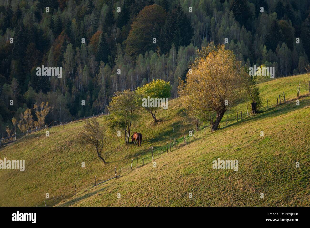Autumn rural scene of the Romanian village in Transylvania, at the foot ...