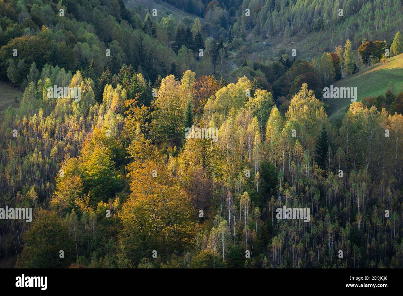 Autumn rural scene of the Romanian village in Transylvania, at the foot ...