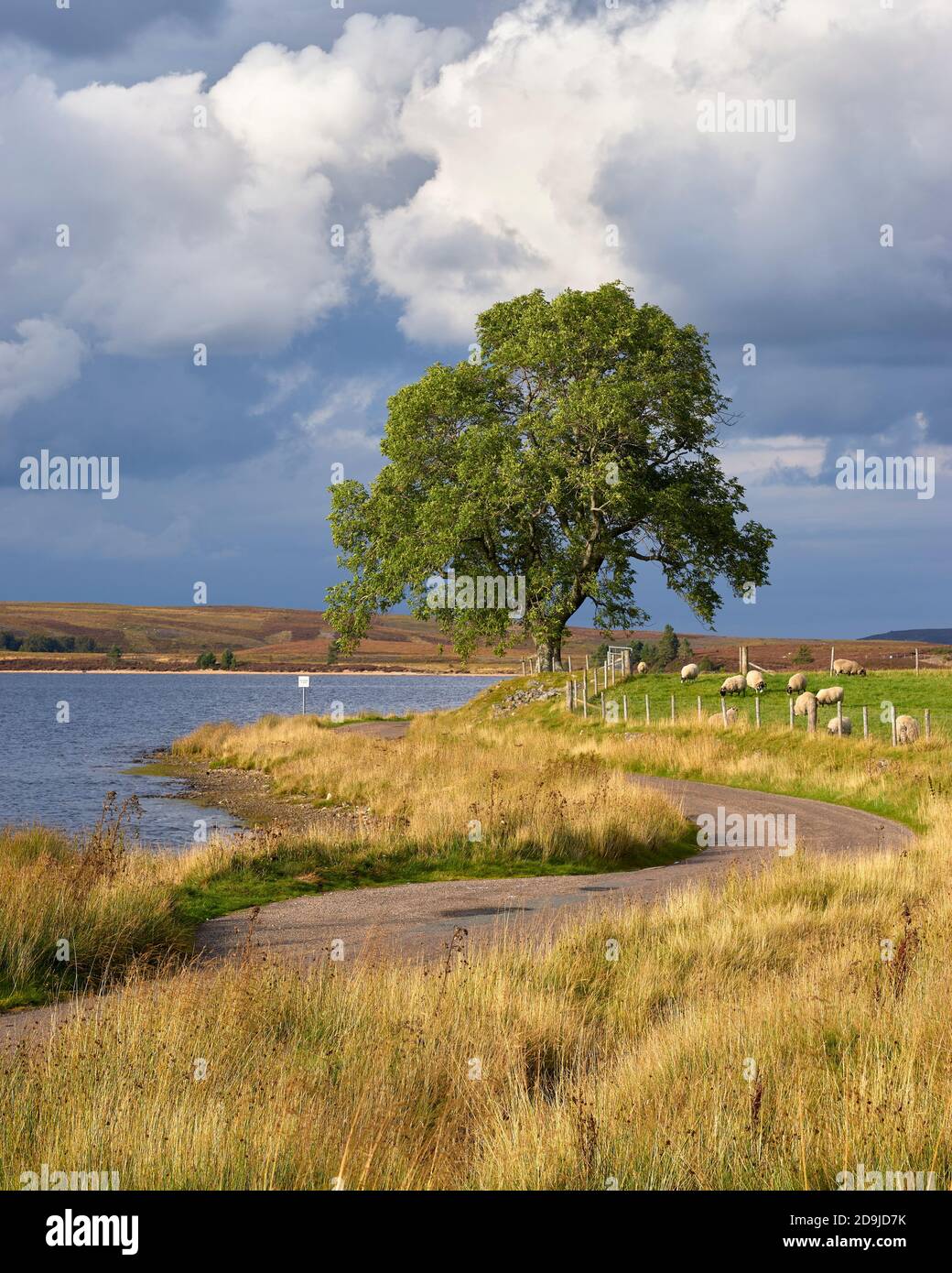 Strathspey and badenoch hires stock photography and images Alamy