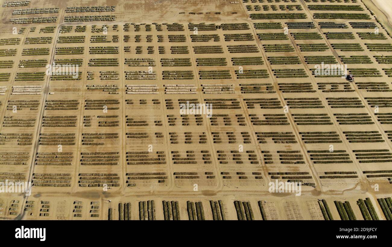 Lagos Portugal Meia praia beach Oyster farm Stock Photo Alamy