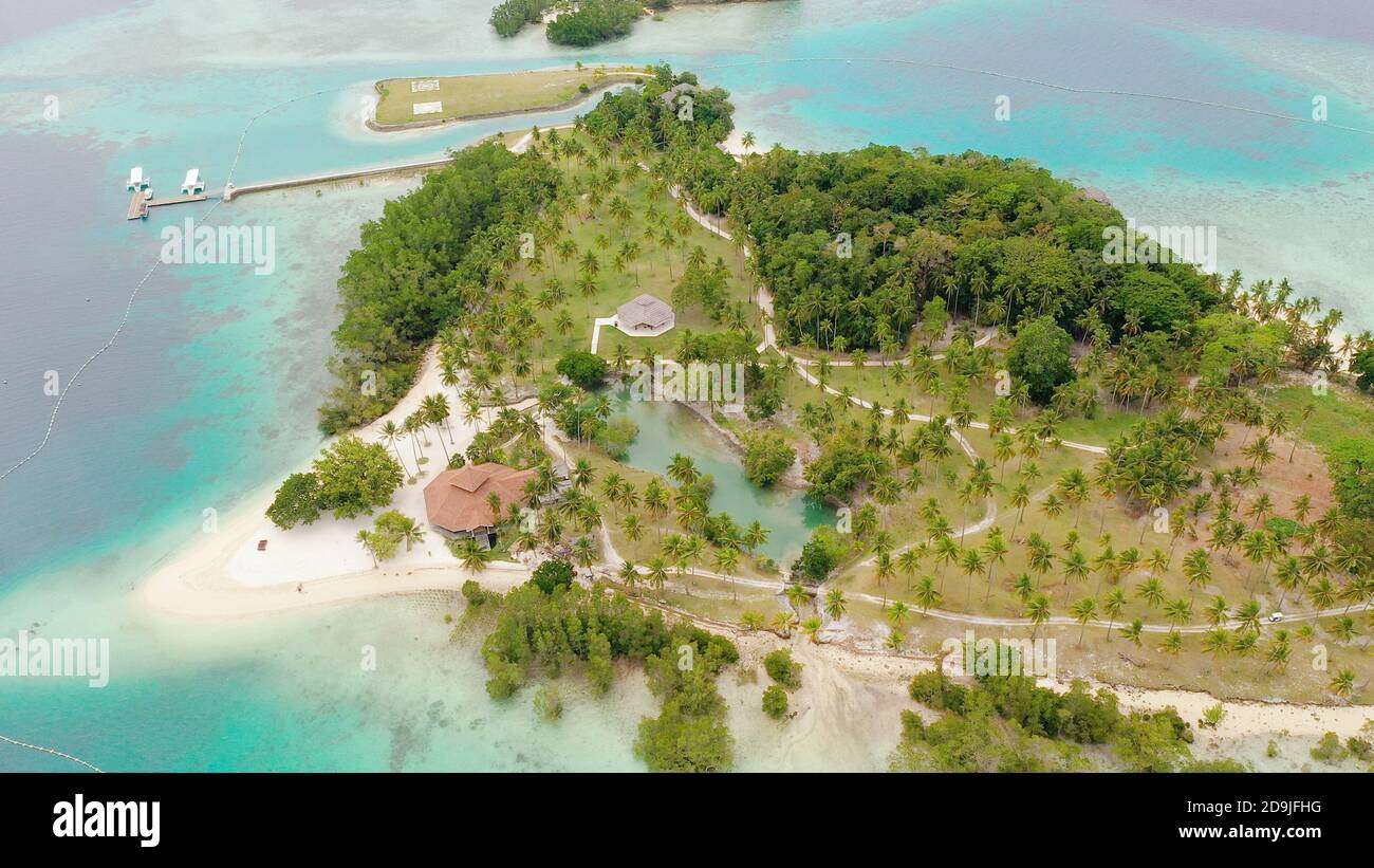 Sandy Islets Aerial view of sandy beach on a tropical island with palm trees ...