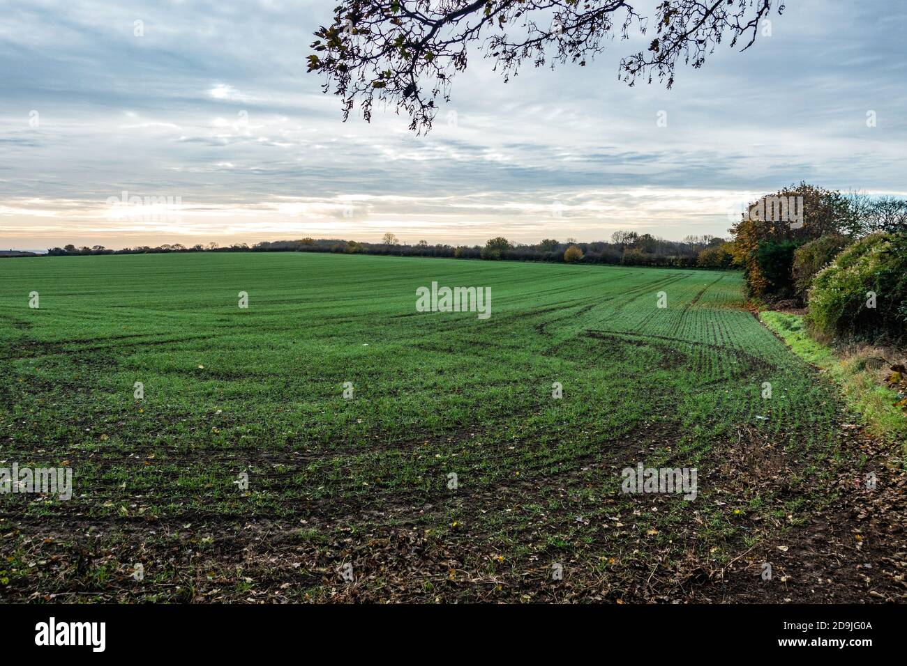 English countryside view winter hi-res stock photography and images - Alamy