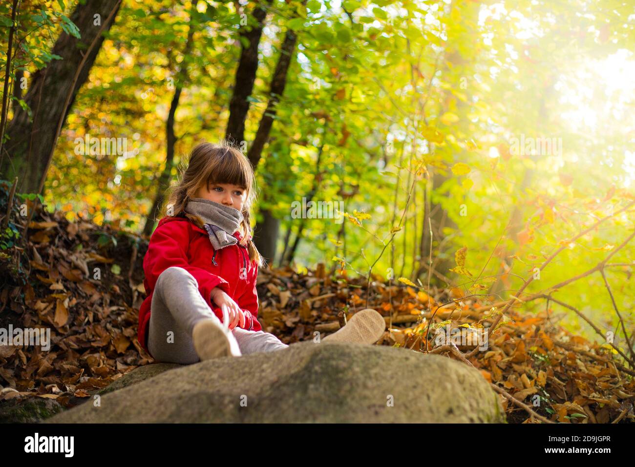 Little child girl with red jacket, sitting on a stone in autumn forest scenery with copy space and sunflare. Varese, Italy. Stock Photo