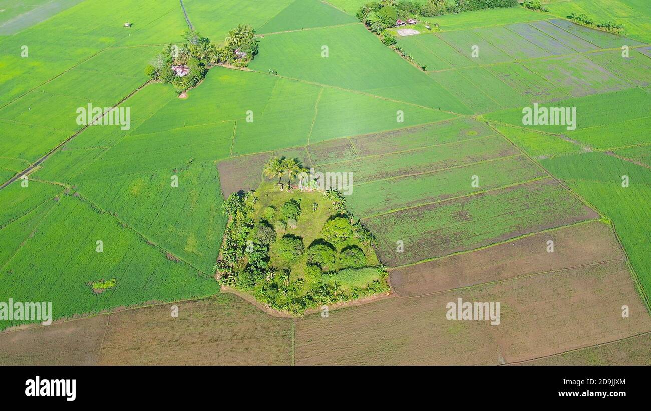 Mindanao Rice Aerial view of Landscape with farmland and rice fields. Philippines ...