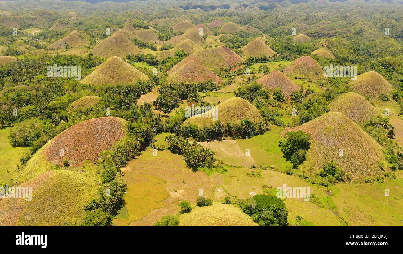 Famous Chocolate Hills natural landmark, Bohol island, Philippines