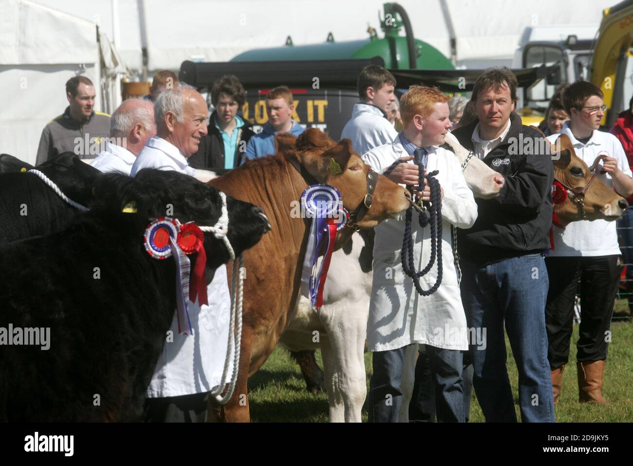 Ayr Agricultural Cattle Show, Ayrshire Scotland. Uk held at Ayr