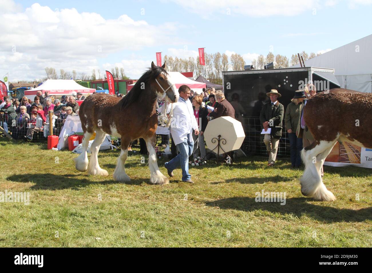 Ayr Agricultural Cattle Show, Ayrshire Scotland. Uk held at Ayr Racecourse. The annual show