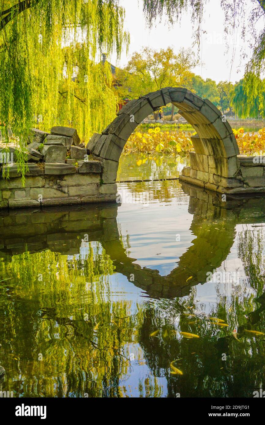 The beautiful autumn scenery in Yuanmingyuan Park in Beijing city, China, 28 October 2020. Stock Photo