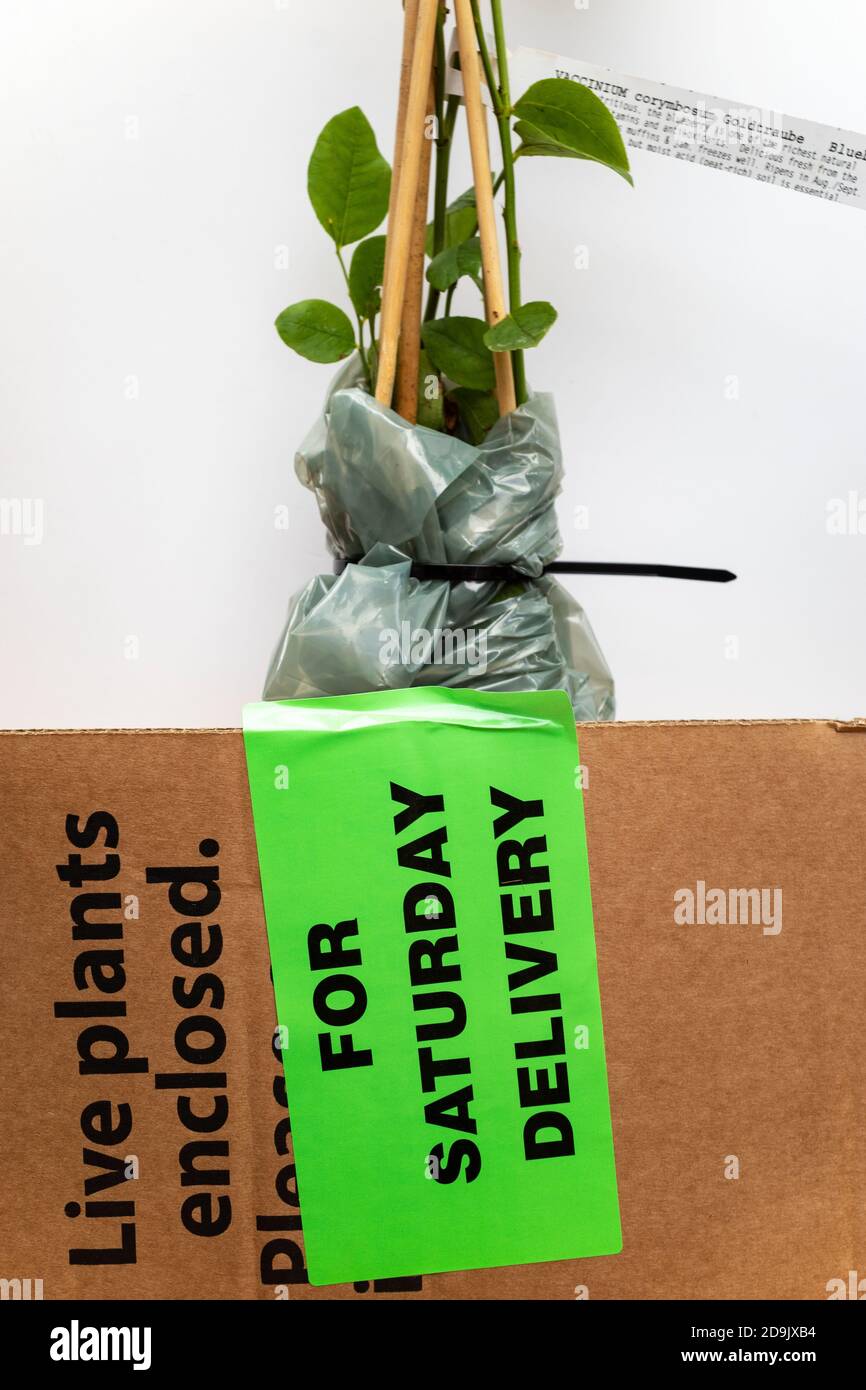 Delivery of live plants hires stock photography and images Alamy