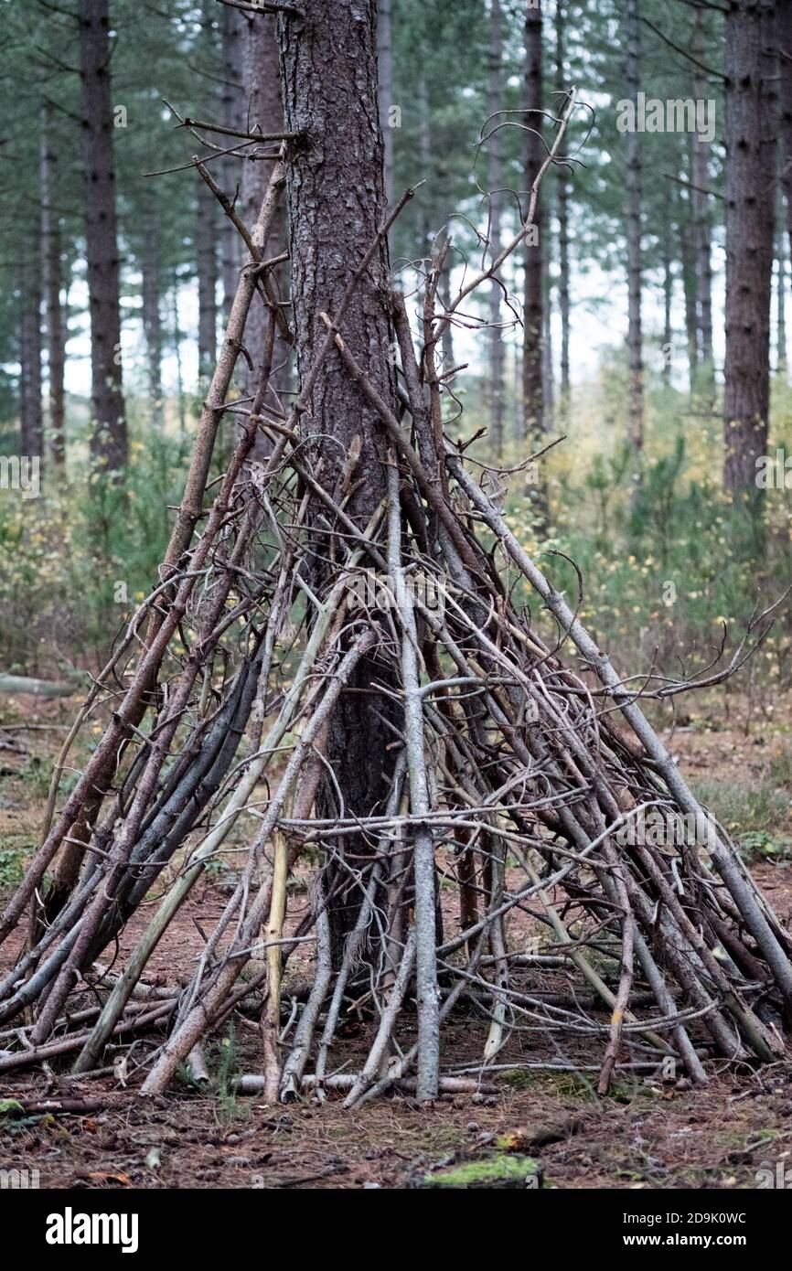 Forest Den shelter made by children collecting fallen woodland branches to hide and play outdoors. New Forest, Hampshire, England. Stock Photo