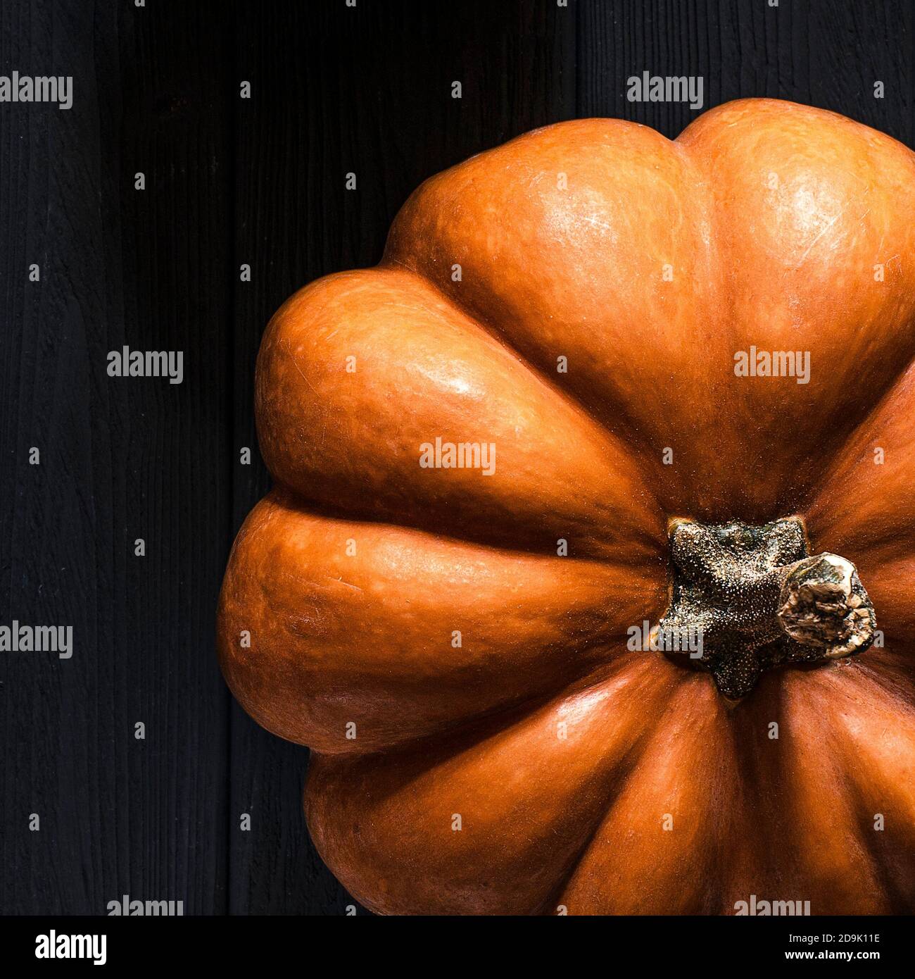 The autumn harvest of orange textured pumpkin lies on a tree background ...