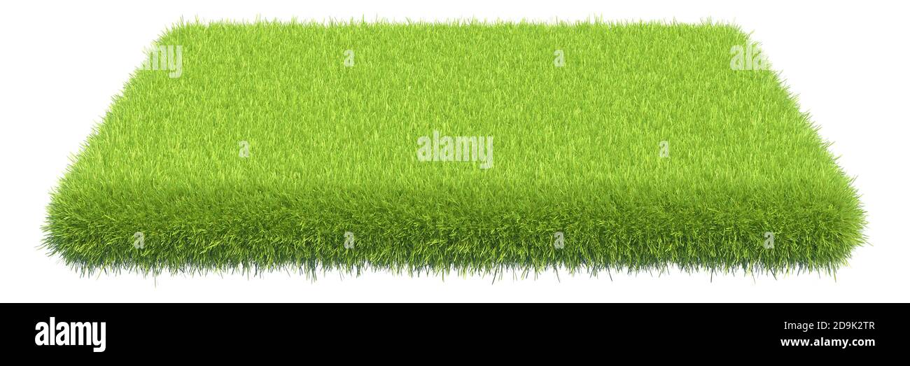 Green grass carpet on white background. 3d rendering Stock Photo Alamy