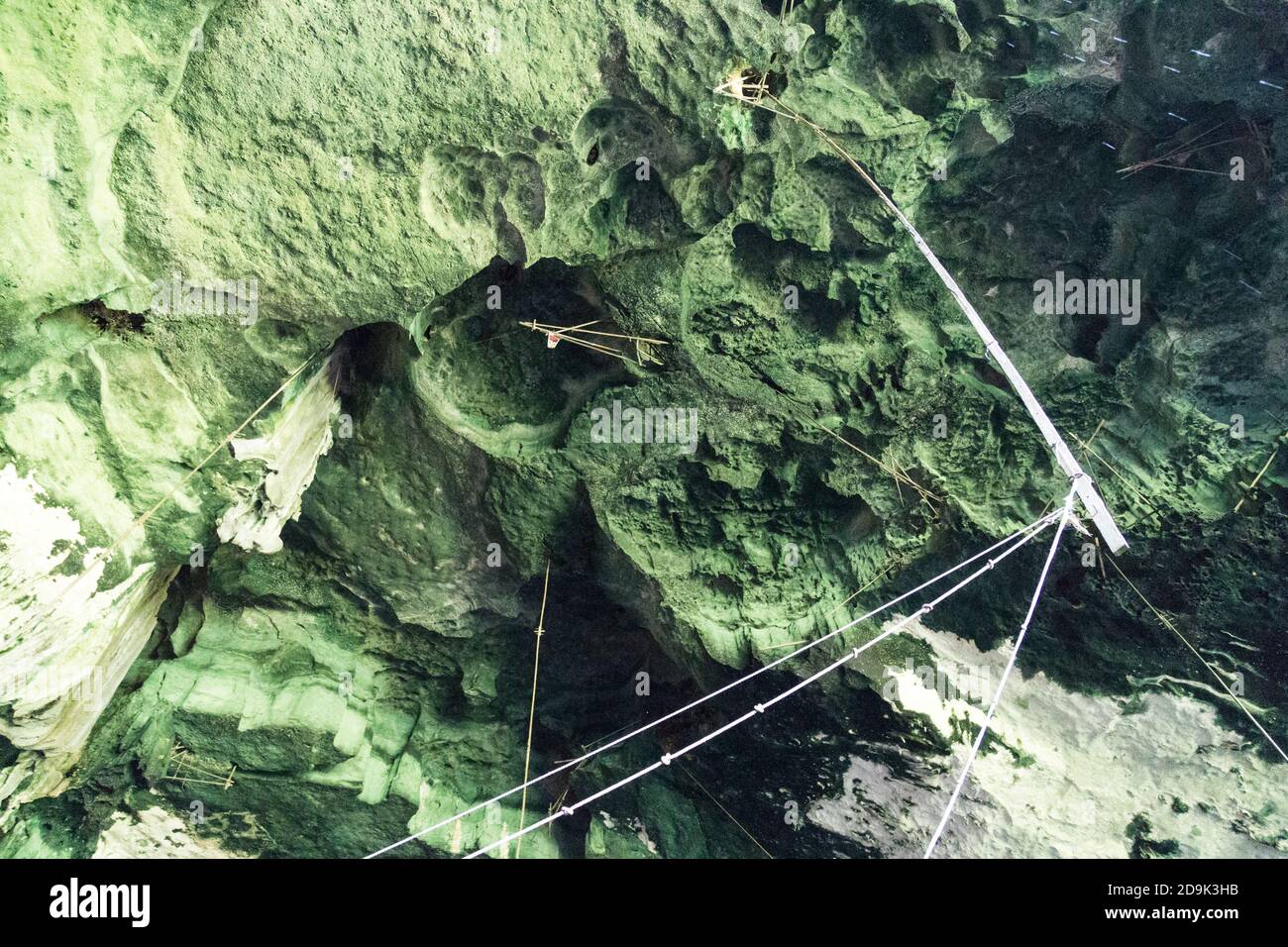 Tools to harvest bird's nest on cave ceiling, Niah Caves Stock Photo