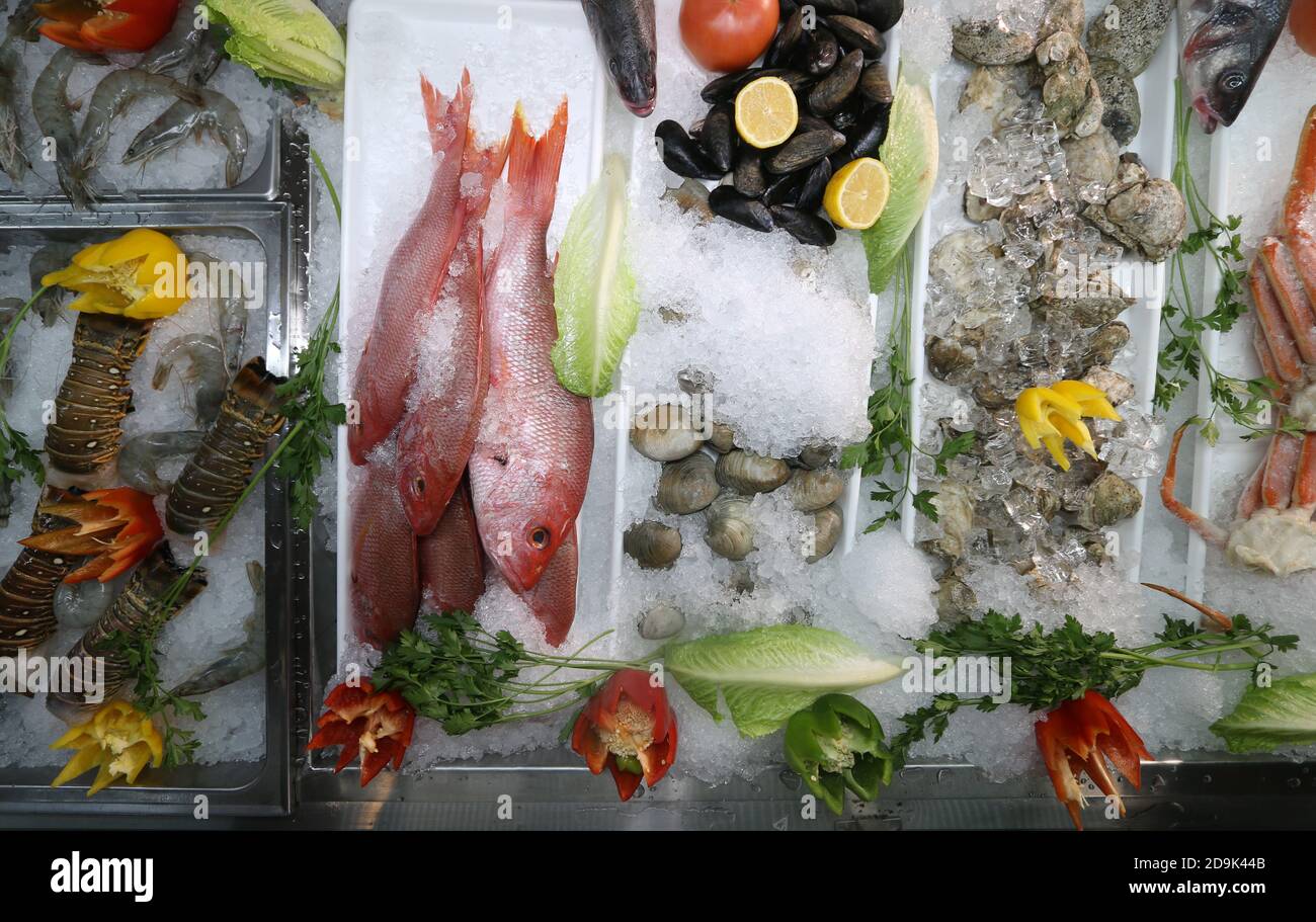 Top view of frozen seafood in a fridge Stock Photo Alamy