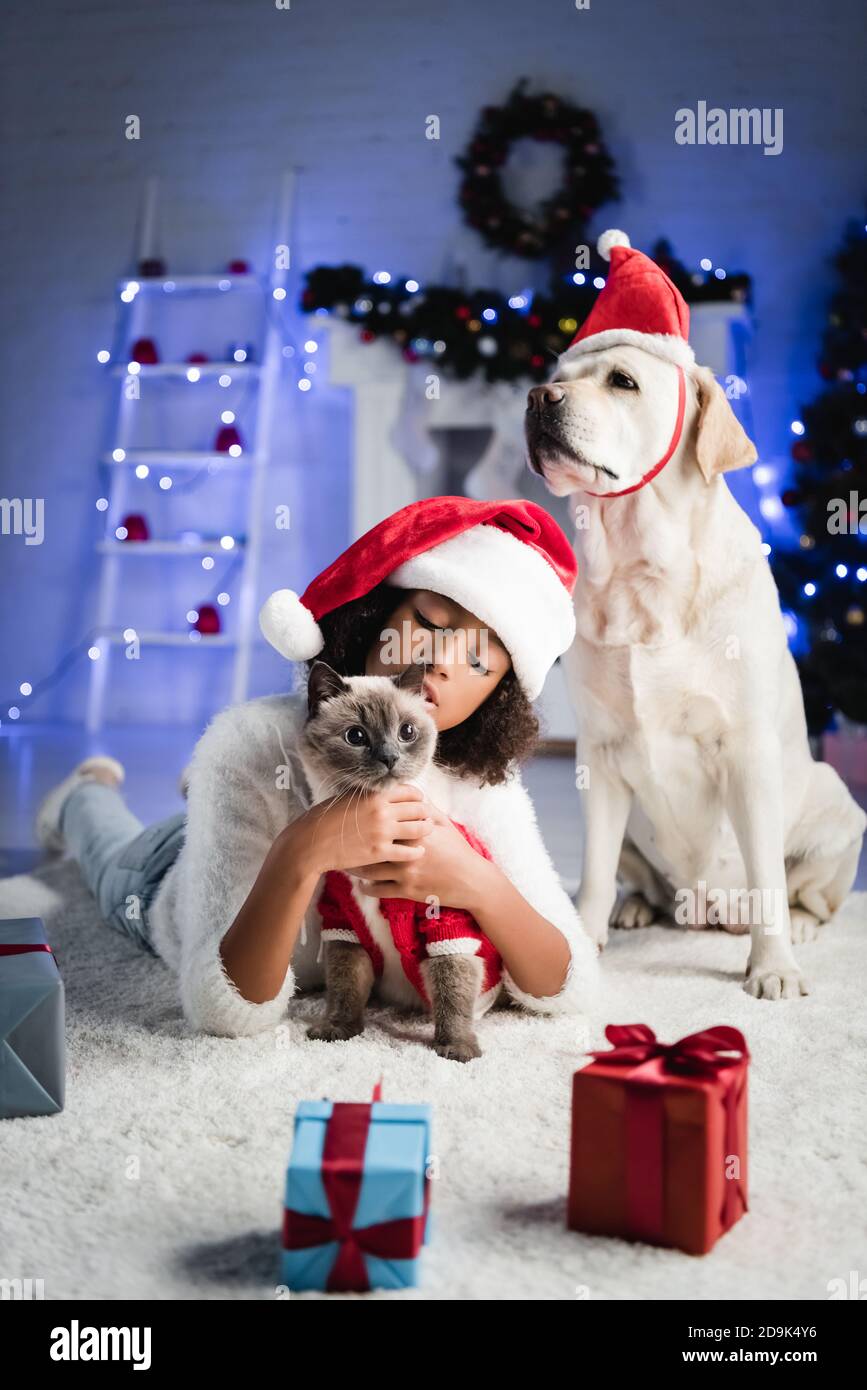 african american girl cuddling cat while lying on floor near labrador dog and christmas gifts on blurred background Stock Photo