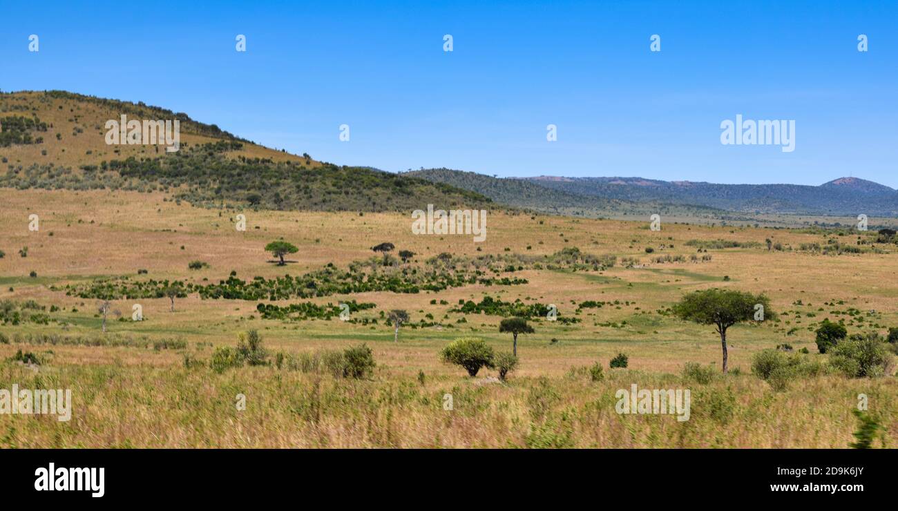 Maasai mara kenya afrique safari hi-res stock photography and images ...