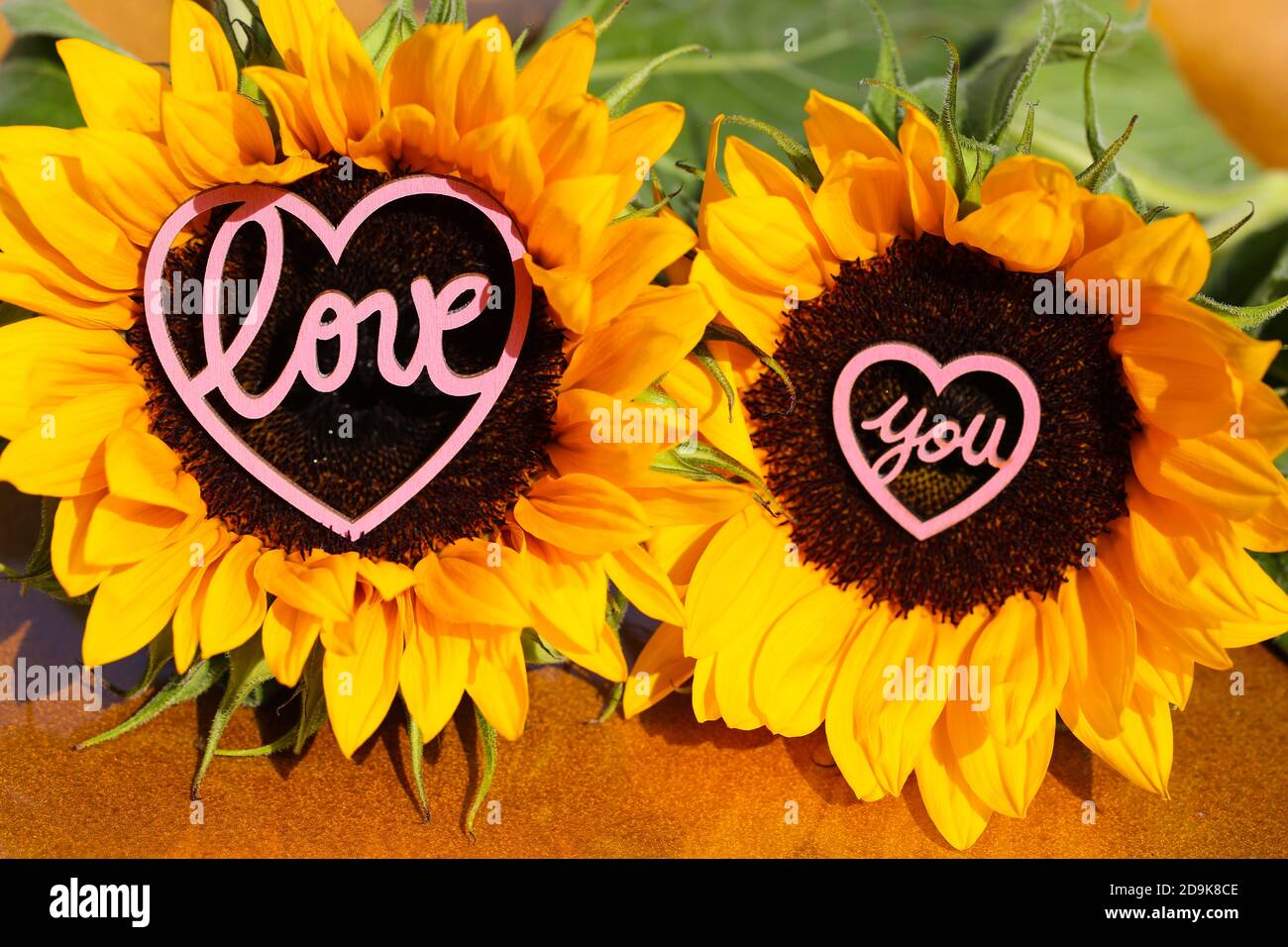 Top 85+ imagen te amo girasol Abzlocal.mx