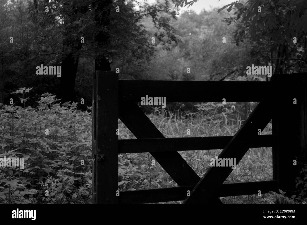 Light gate Black and White Stock Photos & Images - Alamy