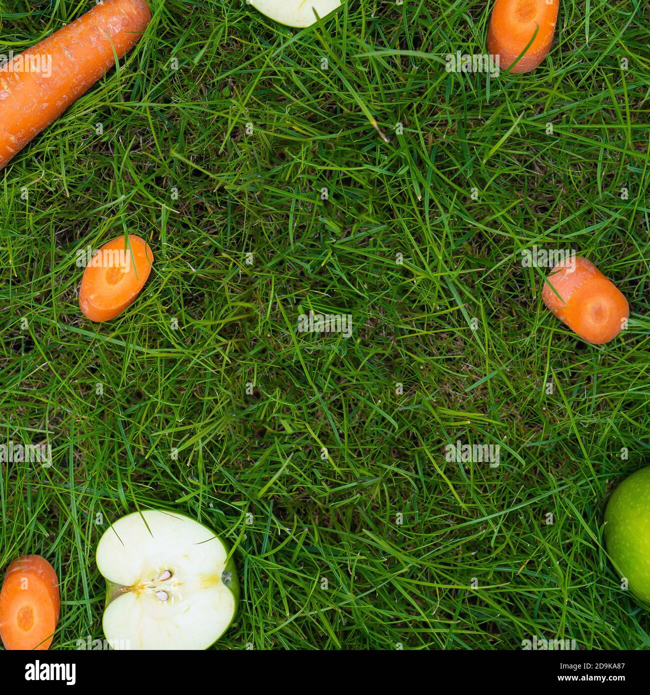 Picture of Fruit on grass, carrot apple ginger pumpkin fresh healthy food hands ...