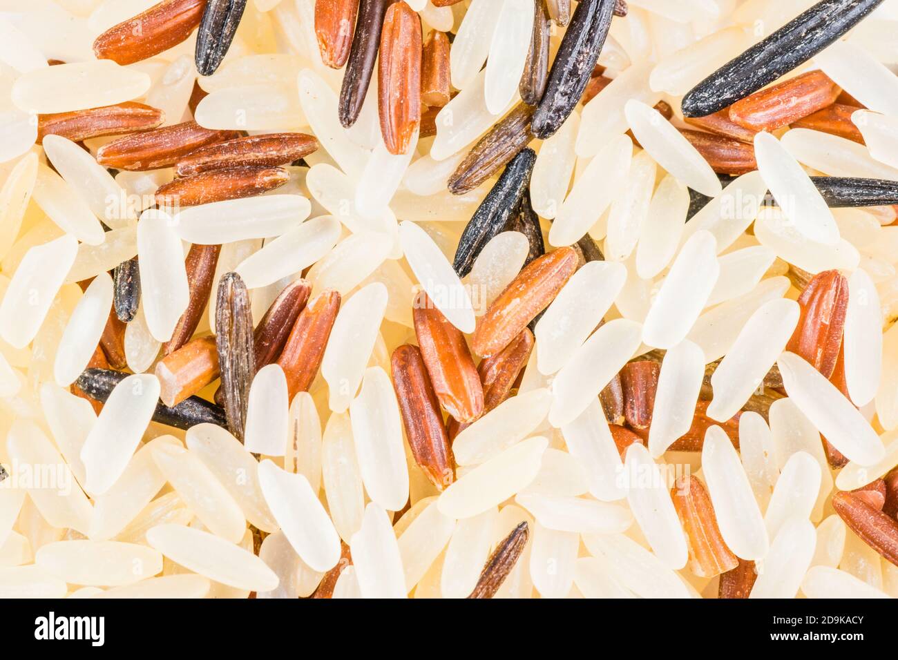 Cap Rice Grain Closeup of grains of brown rice hi-res stock photography and images - Alamy