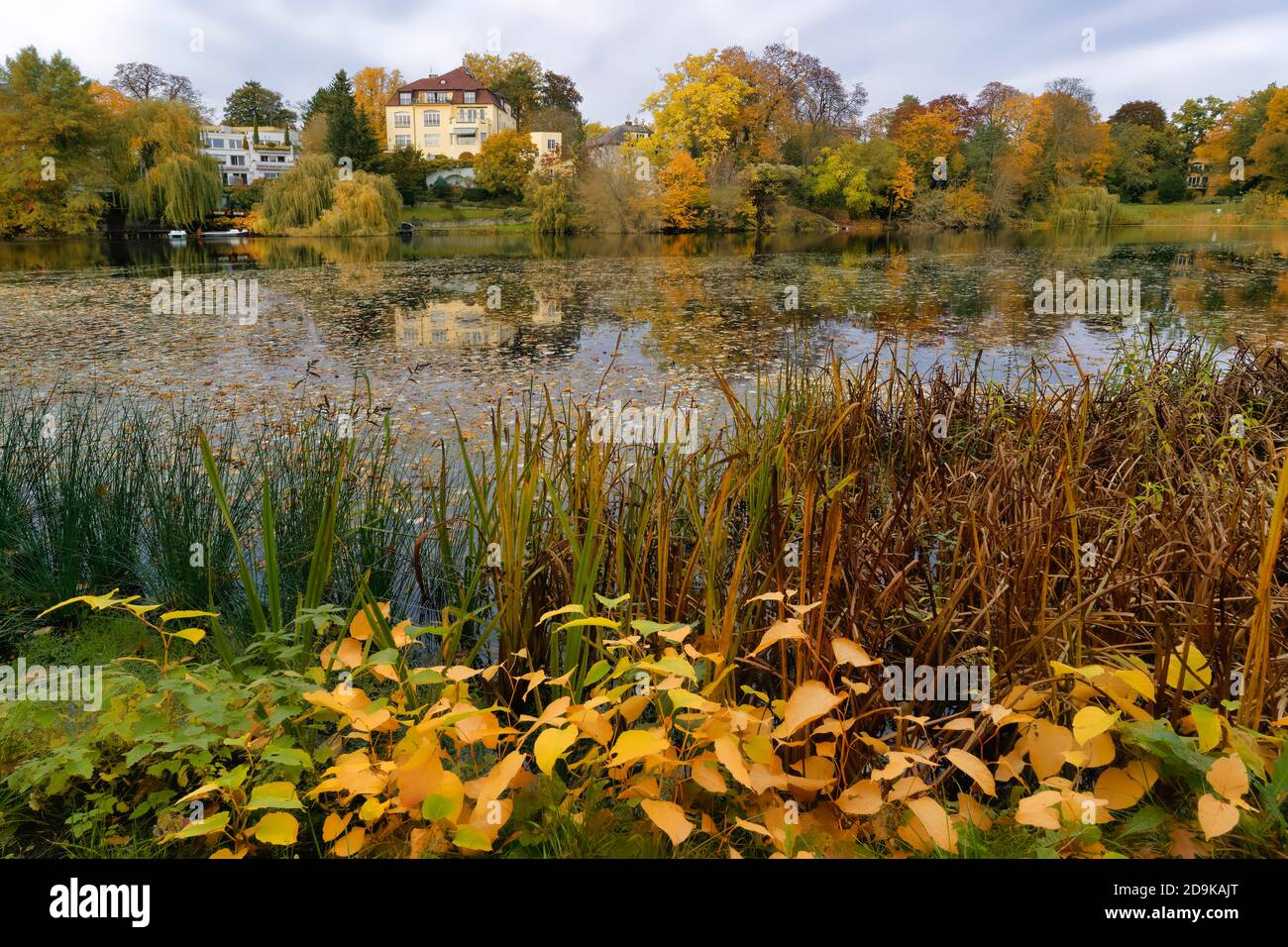 Koenigssee im Herbst, Bezirk Charlottenburg-Wilmersdorf in der Villenkolonie Grunewald, Berlin, Deutschland Stock Photo