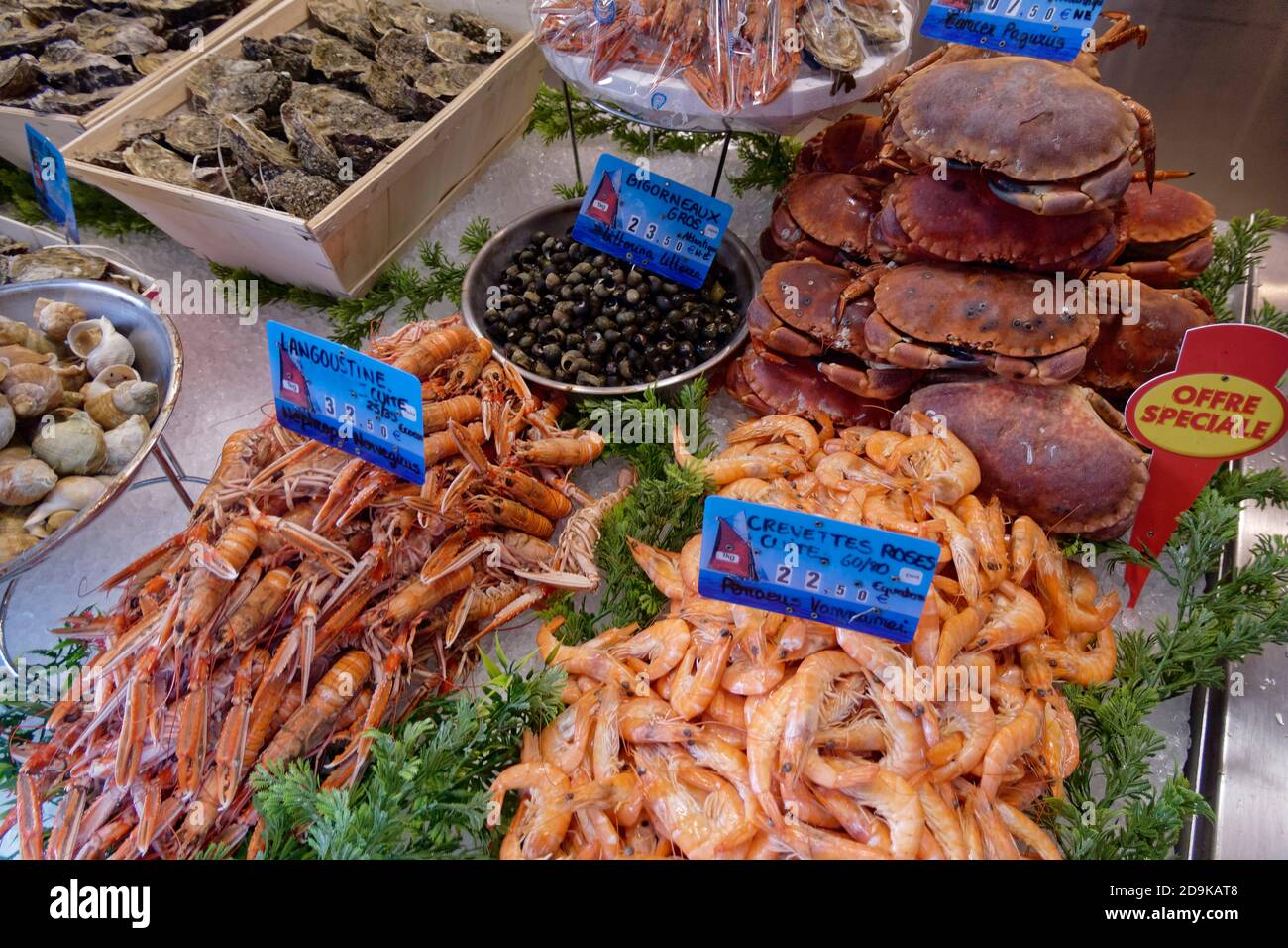 Meeresfruechte,  Saint-Malo, Gourmet, Feinkost, Delikatessen, Krebse, Langoustinen, Austern, Scampi, Garnelen, Stock Photo