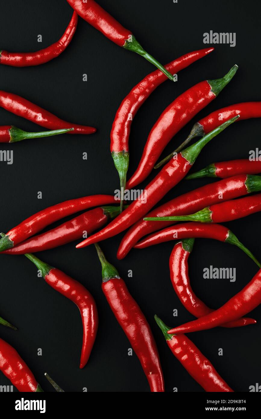Red hot chili pepper on black background. Seasoning for real men. Fire