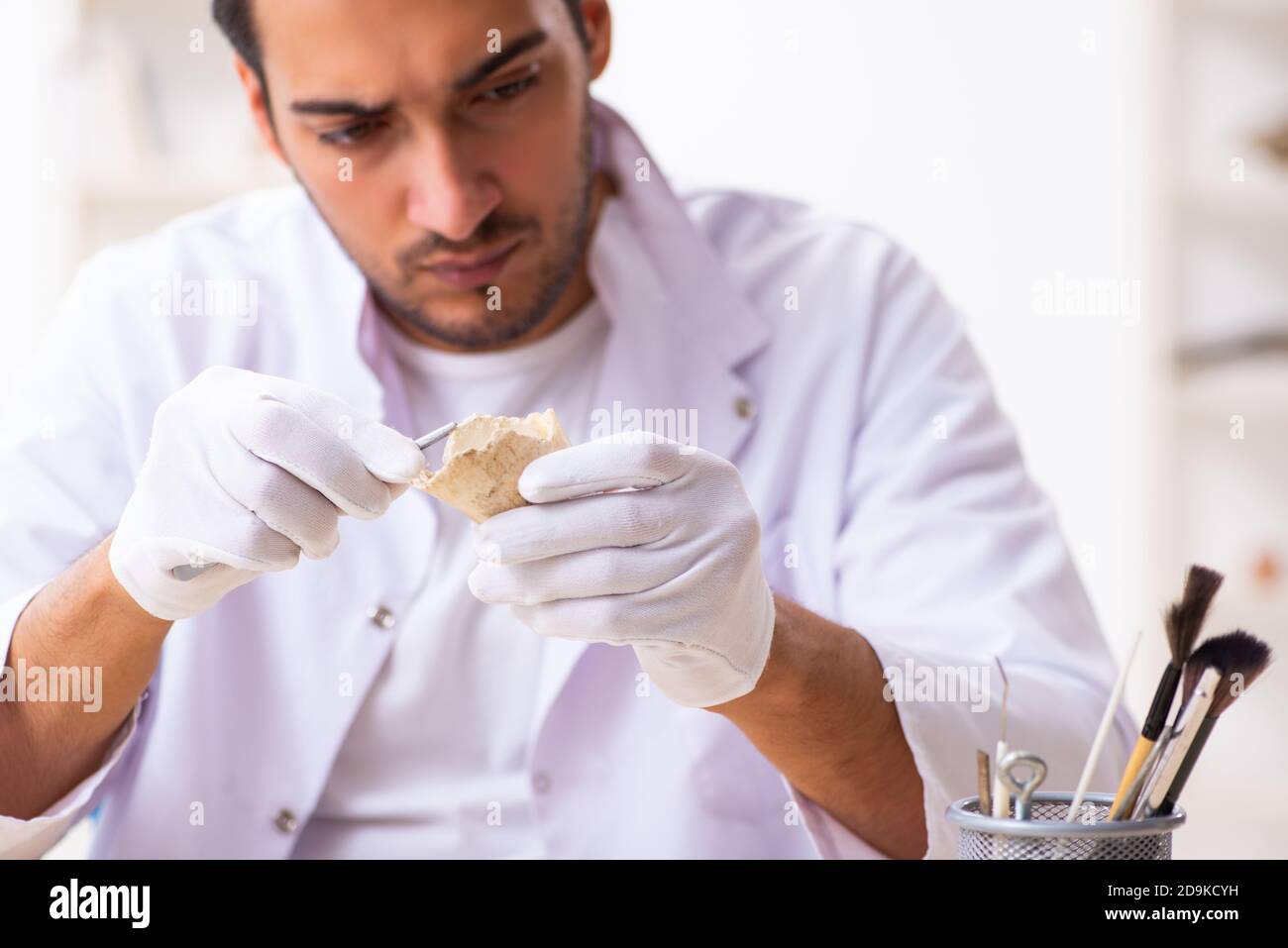 Young archaeologist working in the lab Stock Photo Alamy