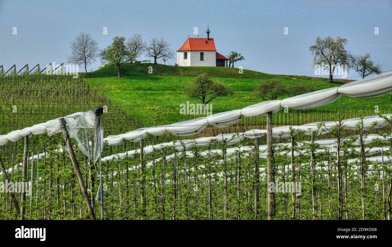 Antoniuskapelle in selmnau near wasserburg on lake constance hires