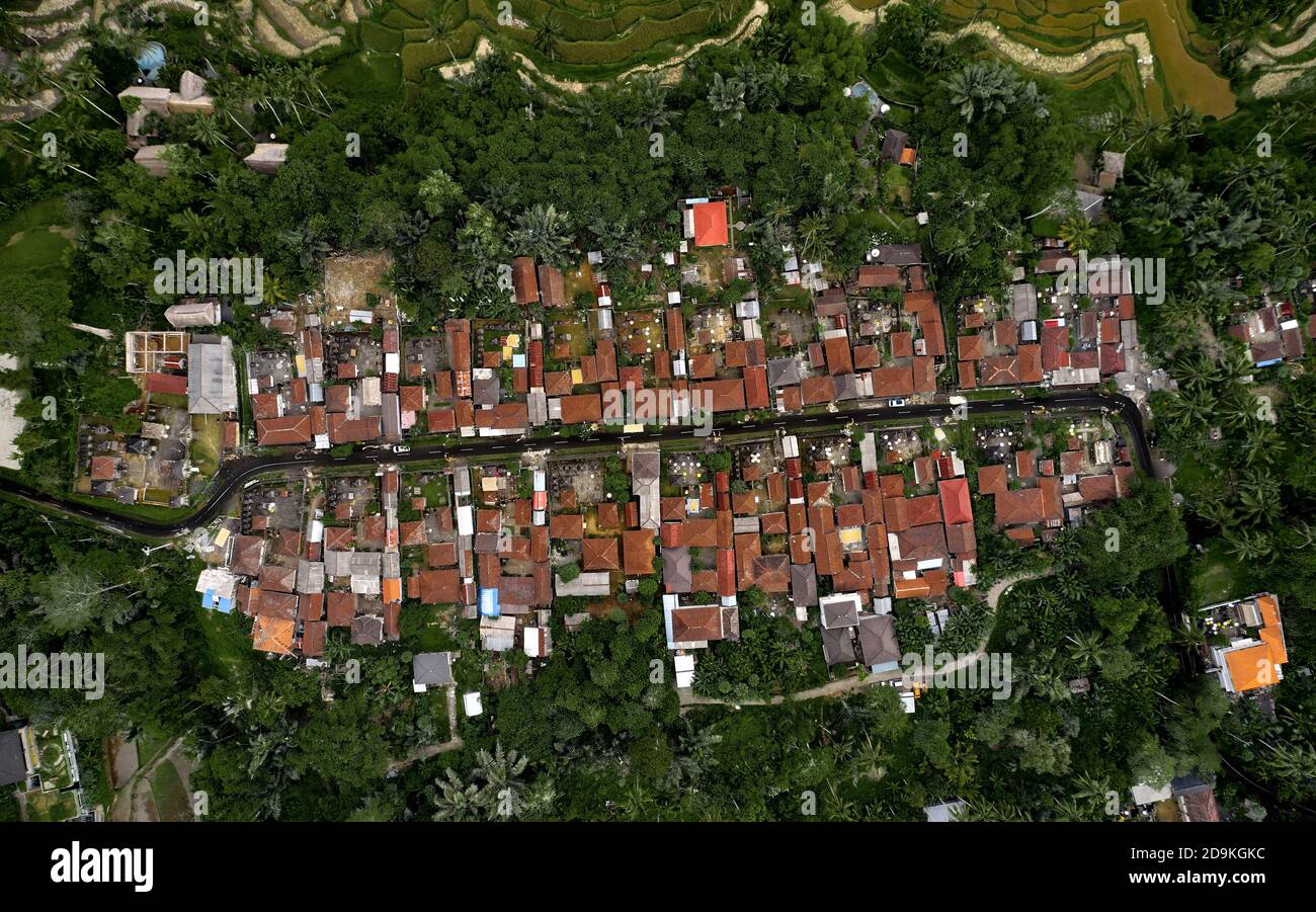 Aerial view of Rice terraces. rice field, geometry of agriculture. Bali ...