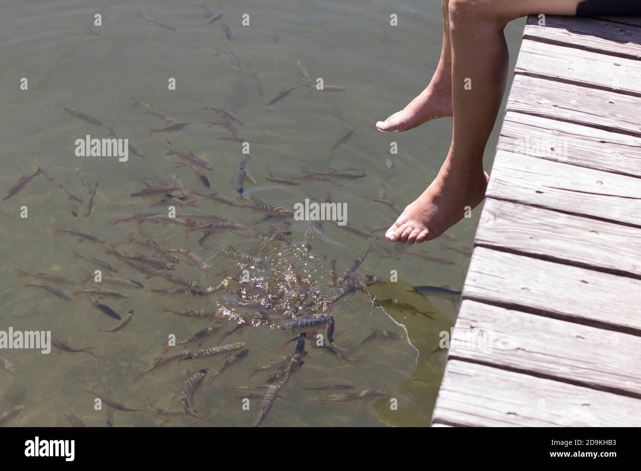 Fish and feet Stock Photo - Alamy
