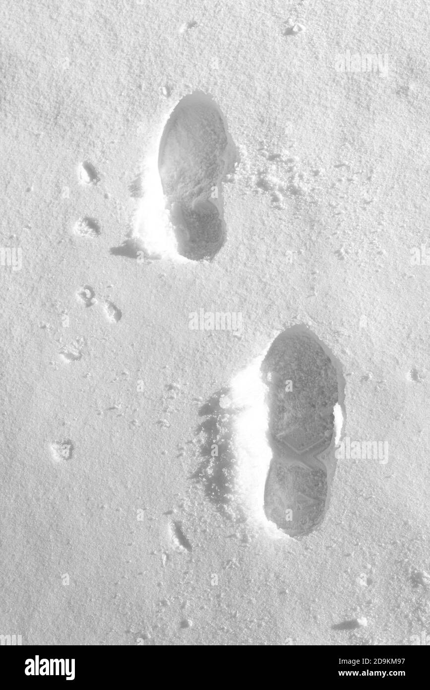 Human footprints in the snow in winter Stock Photo - Alamy
