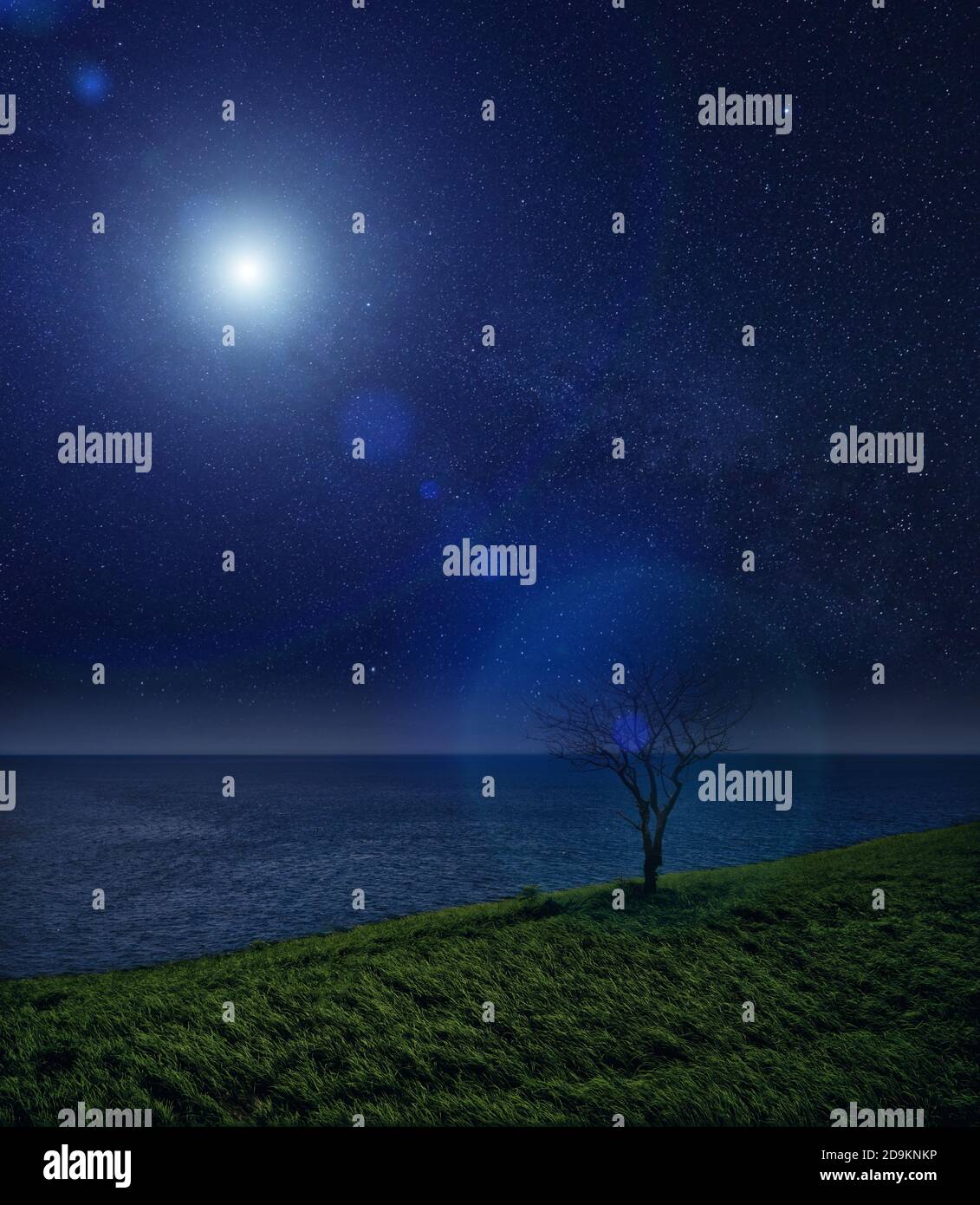Lonely tree and Glow in the night sky. night landscape Stock Photo - Alamy