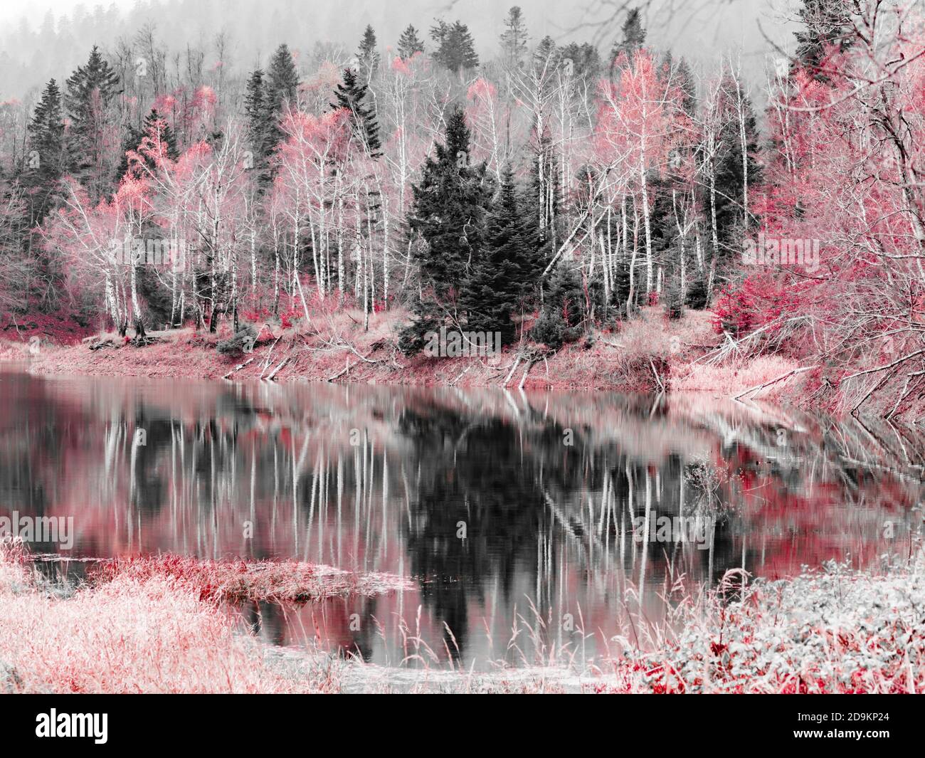 Stunning Lokve lake in Croatia Europe monochrome altered Red color Stock Photo