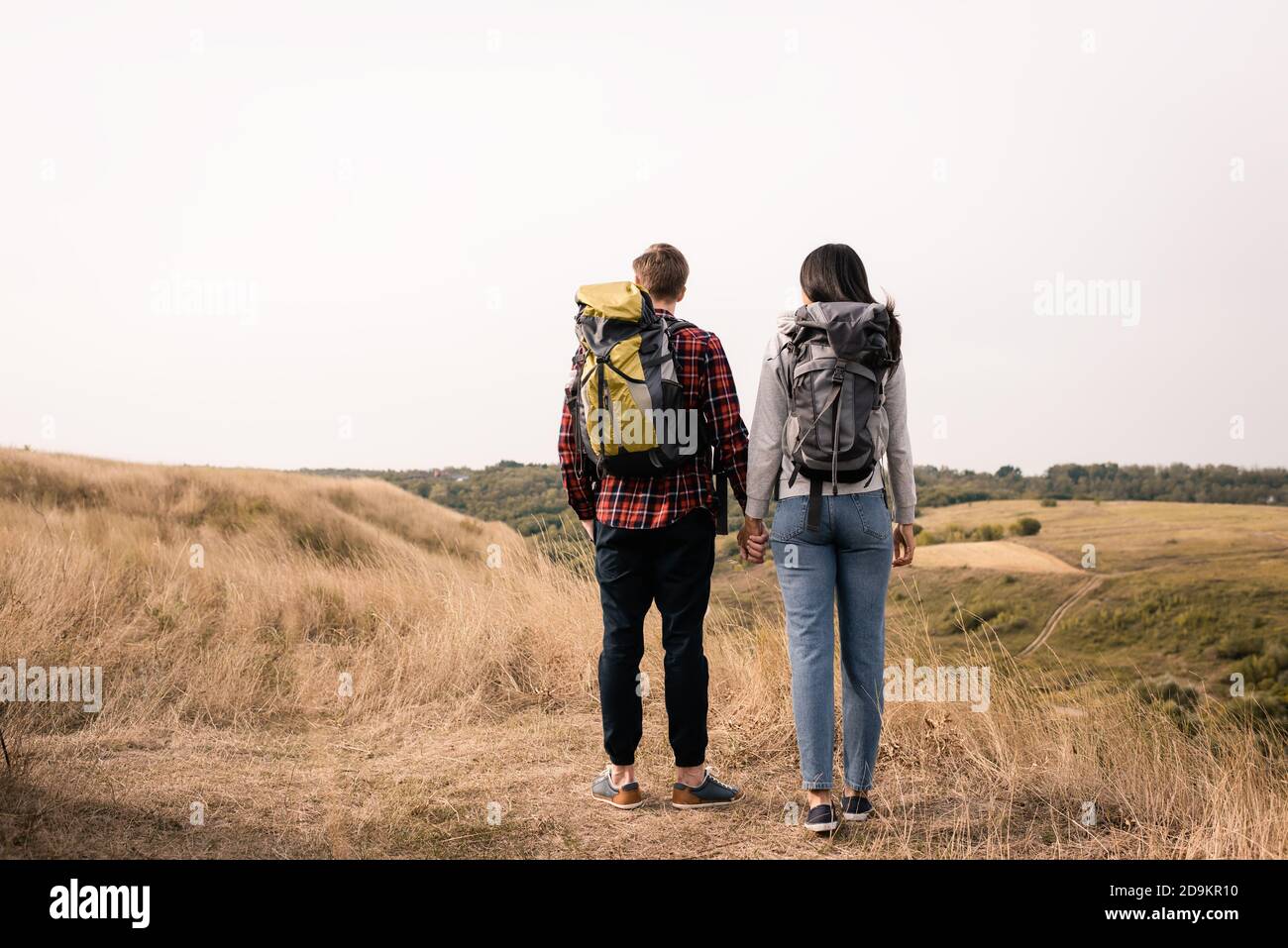 Back view of multiethnic hikers with backpacks holding hands on grassy ...