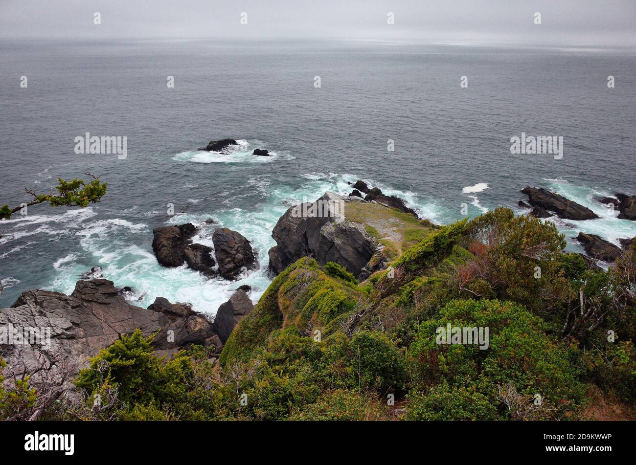 Rocky coast view with waves crash rocks view from above from cape with lush green foliage. Rainy day and foggy overcast sky. Pacific Coast, Bahia Mans Stock Photo