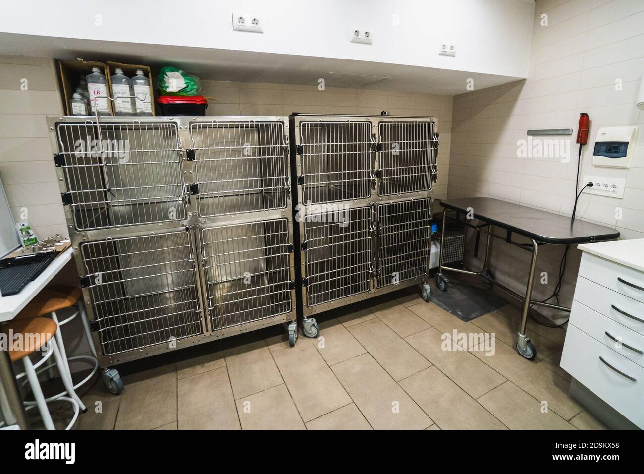 Cages inside a veterinary building for animals, empty room Stock Photo