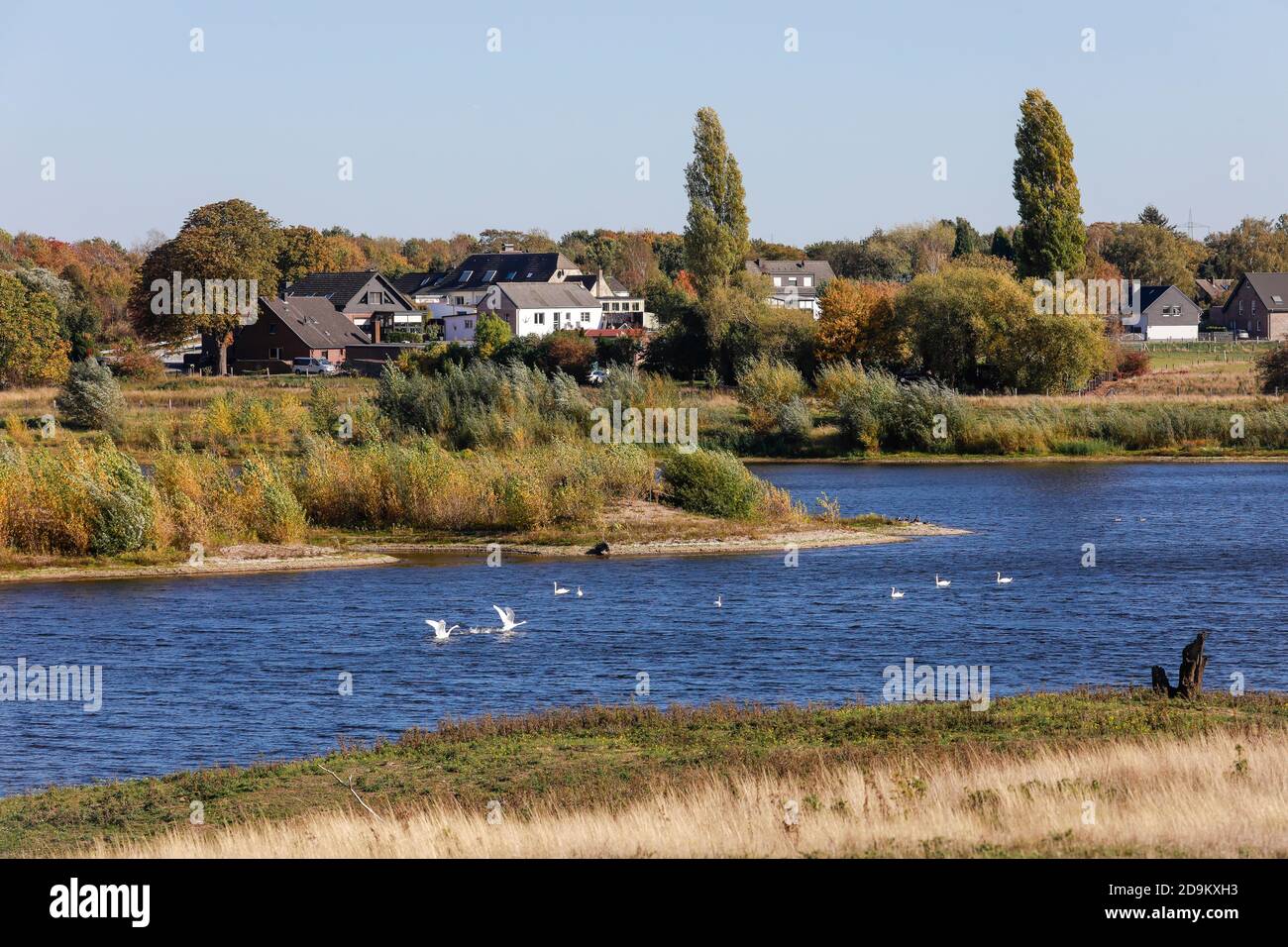Wesel, North Rhine-Westphalia, Lower Rhine, Germany, Lippe, view upstream towards Lippendorf on renatured floodplain area above the mouth of the Lippe into the Rhine. Stock Photo