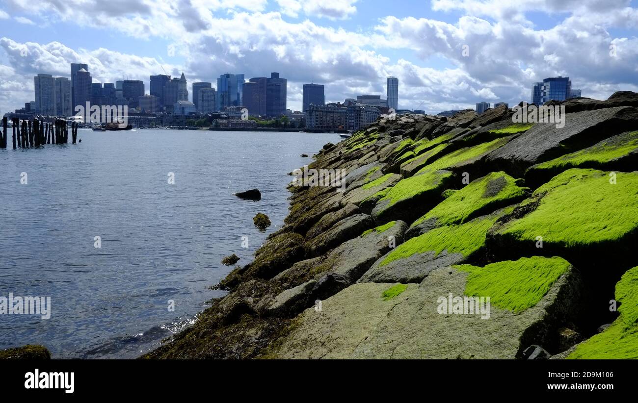 Boston, Massachusetts, Boston skyline photographed from East Boston over Atlantic Ocean with moss covered seawall, Stock Photo
