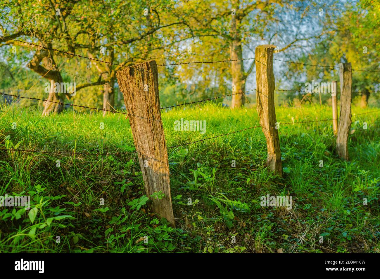 Closeup shot wooden fences hi-res stock photography and images - Alamy