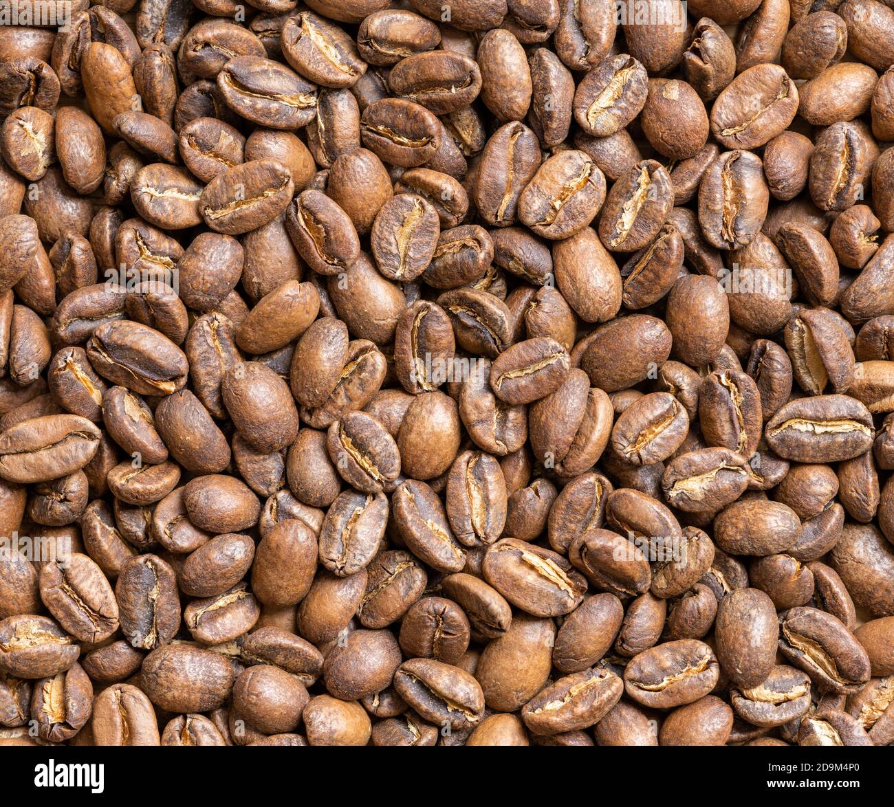 Picture of Best Single Origin Coffee Beans Australia 2026 | Expert Buyer's Guide