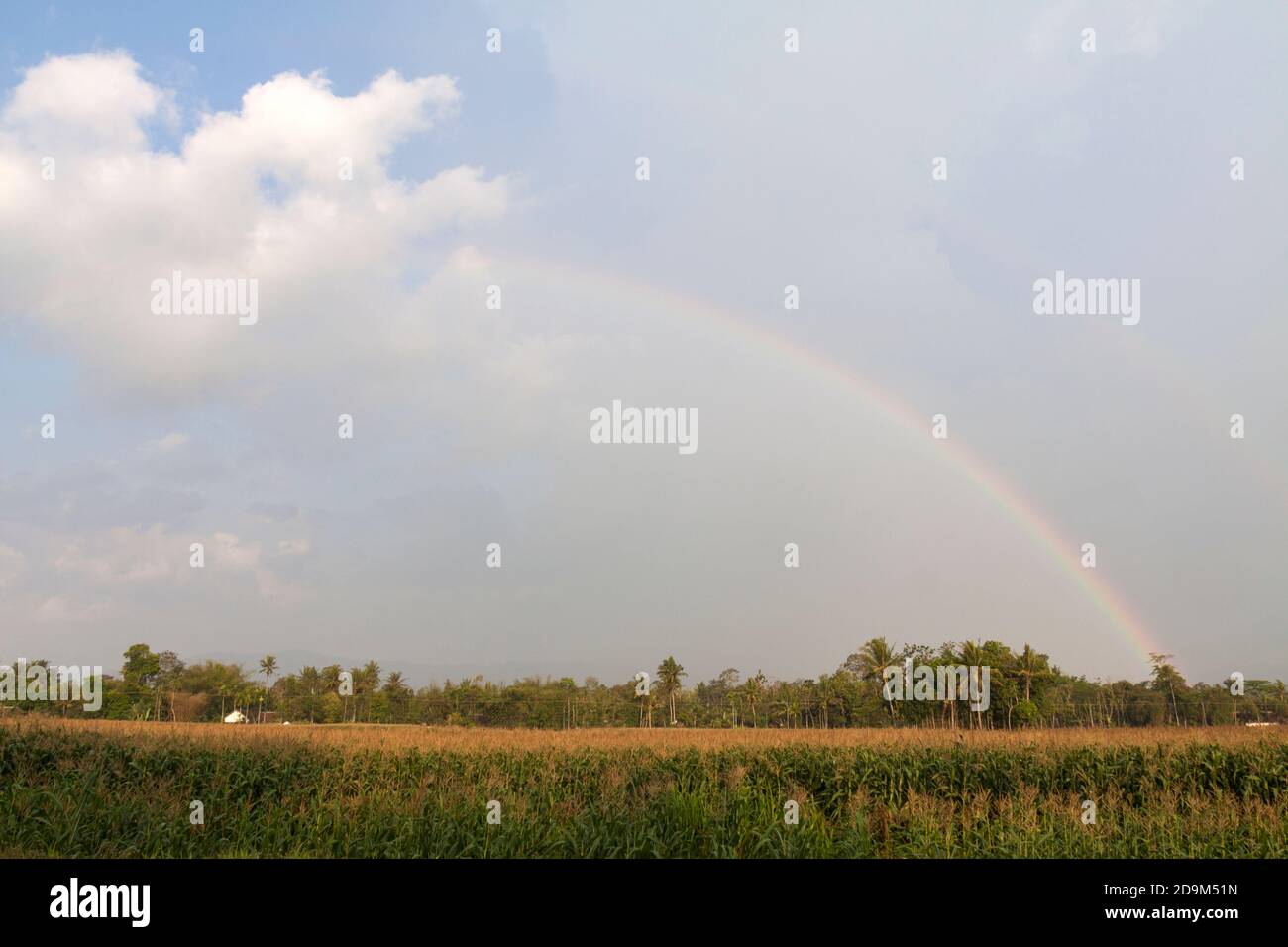 Rainbow in Curah Nongko village, around Meru Betiri National Park, Jember, East Java Stock Photo
