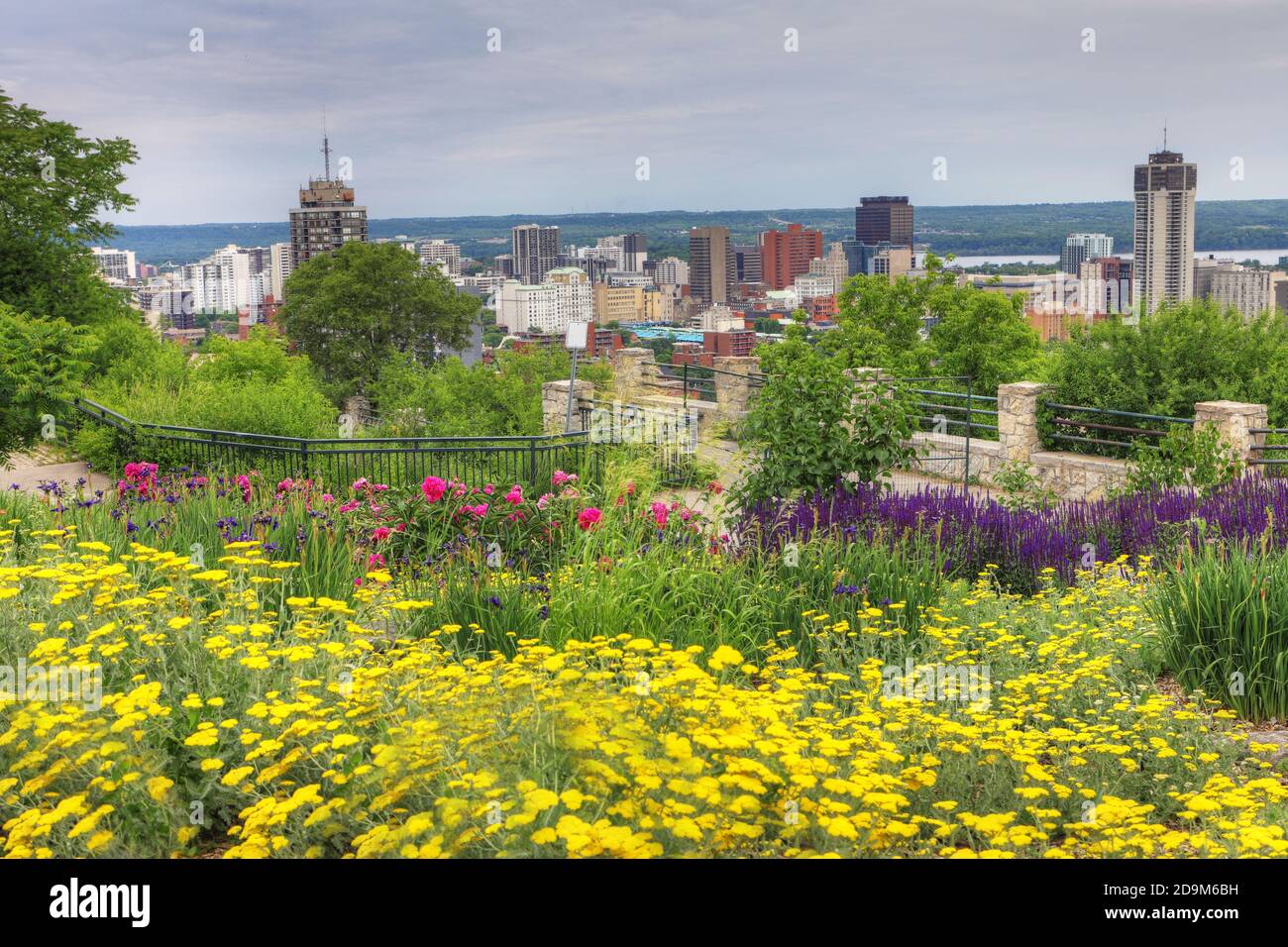 The Hamilton, Ontario skyline with flowers in foreground Stock Photo