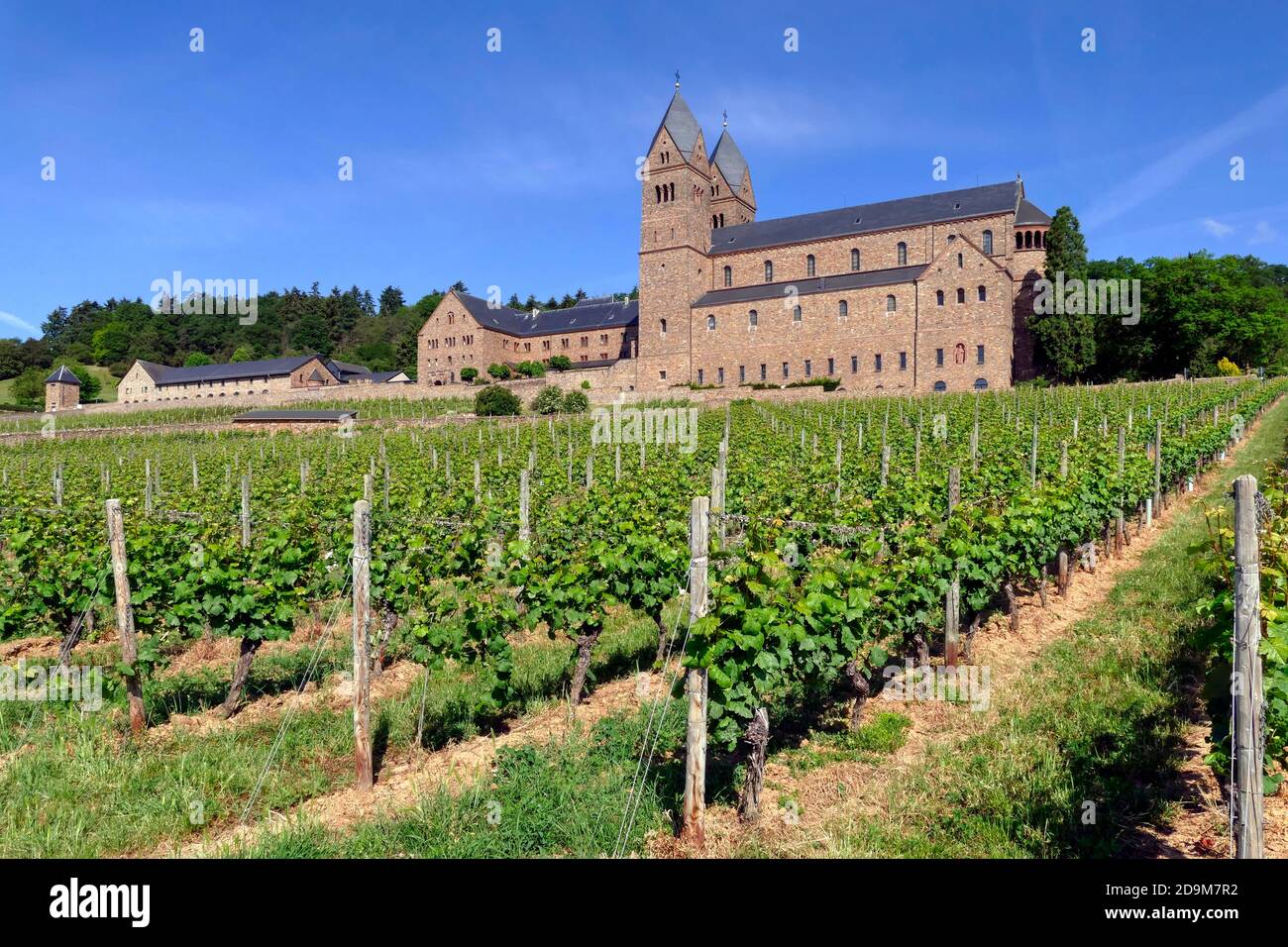 St. Hildegard Abbey, Ruedesheim, Rheingau, Rhine Valley, Hesse, Germany Stock Photo