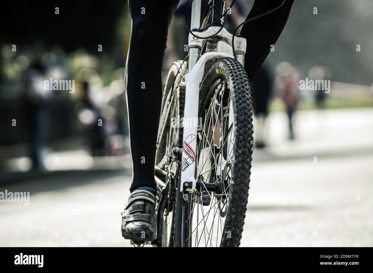 Close-up of cyclist legs Stock Photo